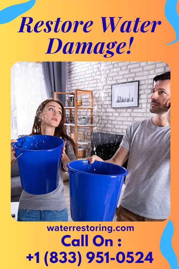 water restoration Premier Disaster Recovery Experts Chapel Hill
