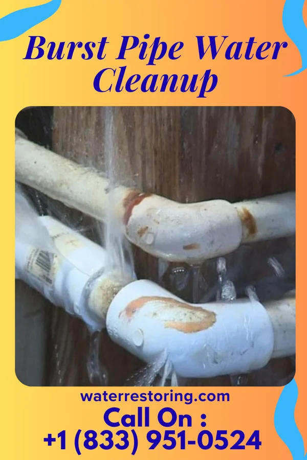 Burst Pipe Water Cleanup in Chapel Hill, NC