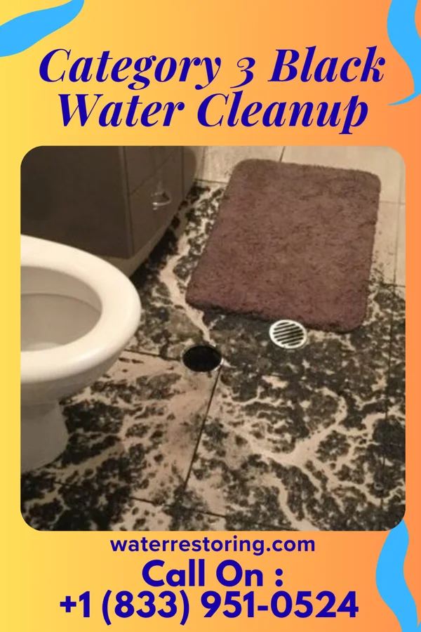 Category 3 Black Water Cleanup in Chapel Hill, NC
